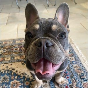 Meet your Posher, Lara